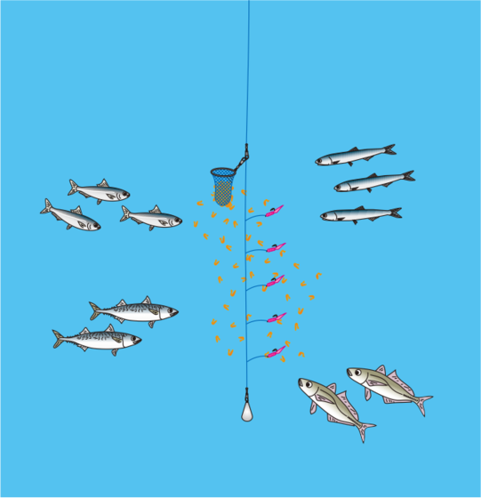 サビキ釣りのコツ アジとイワシの裏技仕掛け サビキ釣りで爆釣する秘訣とは Fishing Fishing